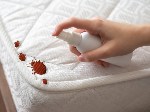 Best Mosquito Control Services  in Garrison, MD